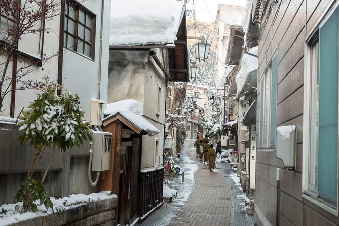 Private Nagano 1-Day Tour:Snow Monkeys,Zenko-ji,Obuse,Sake,Onsen - Walking into Jigokudani Snow Monkey Park