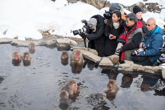 Private Nagano 1-Day Tour:Snow Monkeys,Zenko-ji,Obuse,Sake,Onsen - Obuse for soba, sake, and chestnut treats
