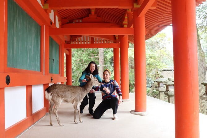 Private Nara Tour and Sake Tasting (Departing from Kyoto/Nara) - Key points to know before you book
