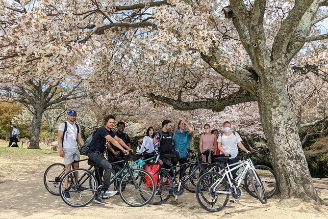 Private Nara Tour and Sake Tasting (Departing from Kyoto/Nara) - Tamukeyama Hachimangu and the meeting of traditions