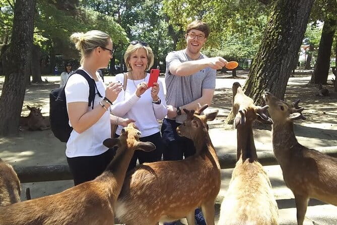 Private Nara Tour and Sake Tasting (Departing from Kyoto/Nara) - Feeding the deer in Nara Park