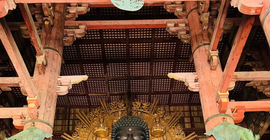Private Nara Tour from Osaka – Meet at Your Hotel - Himuro Shrine offers a quieter religious stop