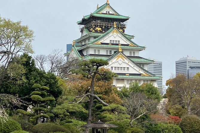 Private Osaka Tour with Hotel Meet Up - Why a private Osaka tour can be worth the price