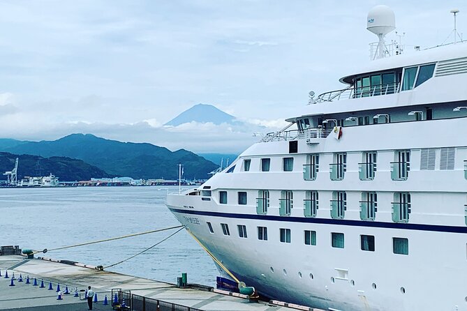 Private Sightseeing Tour from Shimizu Port / Sedan Taxi - Key points to know before booking