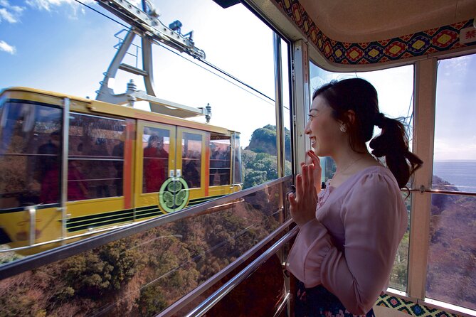 Private Sightseeing Tour from Shimizu Port / Sedan Taxi - Why this Shimizu shore excursion works well