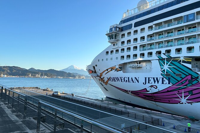 Private Sightseeing Tour from Shimizu Port / Sedan Taxi - Visiting Kunozan Toshogu Shrine and Tokugawa Ieyasu’s mausoleum