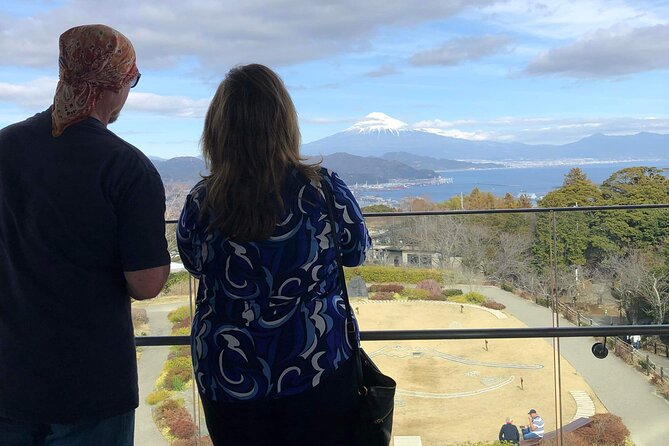 Private Sightseeing Tour from Shimizu Port / Sedan Taxi - Nihondaira Yume Terrace and the broad Fuji view