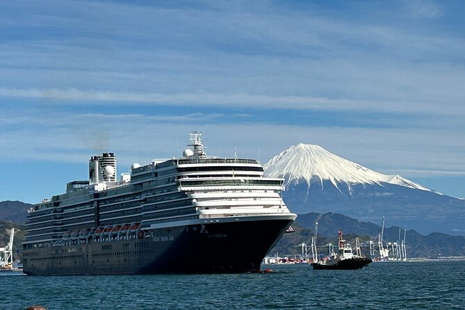 Private Sightseeing Tour from Shimizu Port / Sedan Taxi - Tasting Shizuoka’s green tea at Nihondaira Ochakaikan