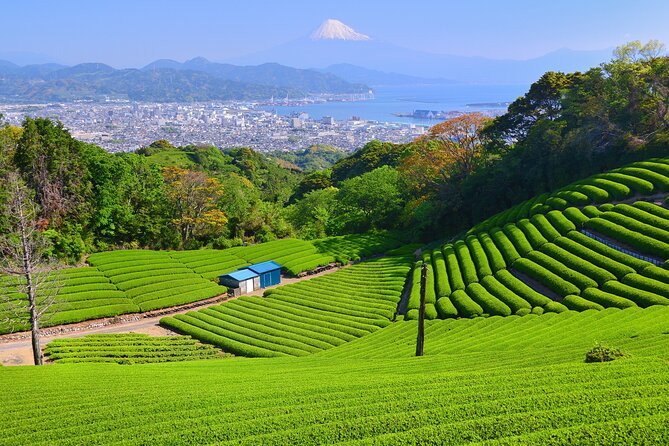 Private Sightseeing Tour from Shimizu Port /Small Bus - Key points at a glance