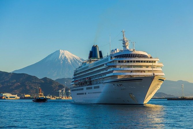 Private sightseeing tour from Shimizu Port / Van Taxi - Why this tour works well from Shimizu Port