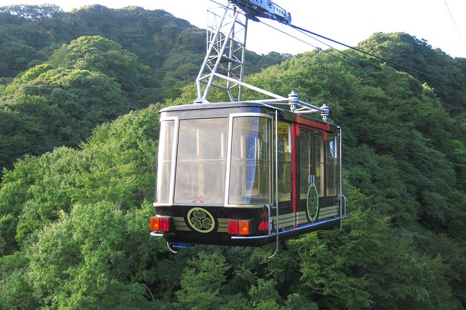 Private sightseeing tour from Shimizu Port / Van Taxi - Miho no Matsubara: pine trees, black sand, and Fuji