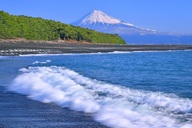 Private sightseeing tour from Shimizu Port / Van Taxi - How much can you really see in four hours?