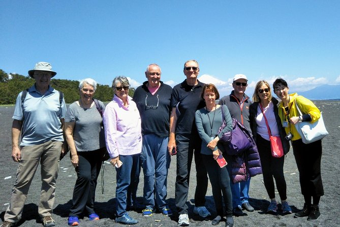 Private sightseeing tour from Shimizu Port / Van Taxi - The guides are a major part of the value