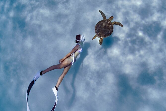 Private snorkeling tour Ishigaki island - Key details before you book