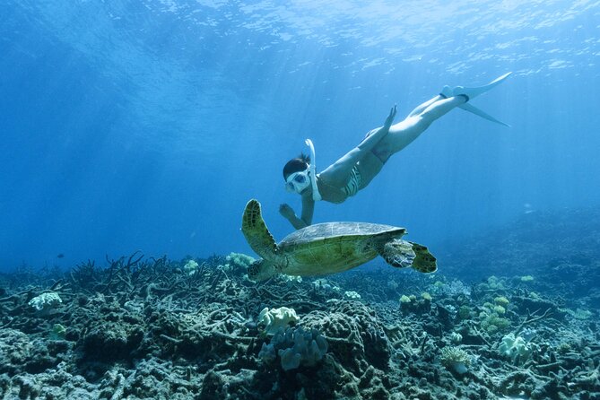 Private snorkeling tour Ishigaki island - Starting from the beach instead of a boat