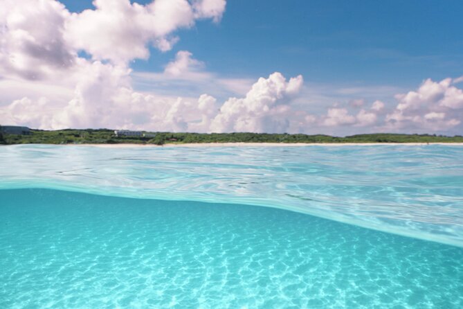 Private snorkeling tour Ishigaki island - A guide who works at your pace