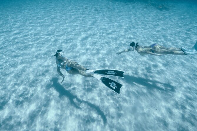 Private snorkeling tour Ishigaki island - Pickup, timing, and seasonal availability