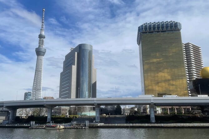 Private Tokyo Tour with Local Guide - A Useful First Look at Tokyo