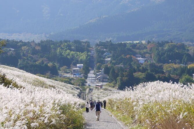 Private Tour - Hakone Day Trip! A Tour to Explore All Must-Sees! - The Hakone Ropeway and Owakudani