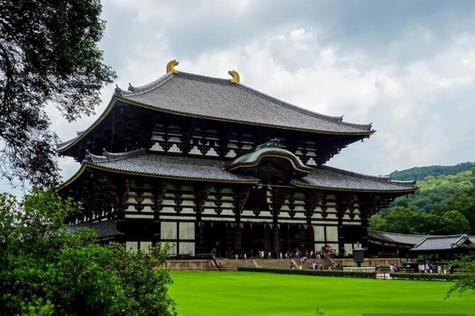 Private Tour Kyoto-Nara w/Hotel Pick Up & Drop off from Kyoto - Kinkaku-ji, Kyoto’s Golden Pavilion