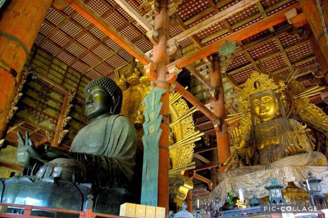 Private Tour Kyoto-Nara w/Hotel Pick Up & Drop off from Kyoto - What the private vehicle adds