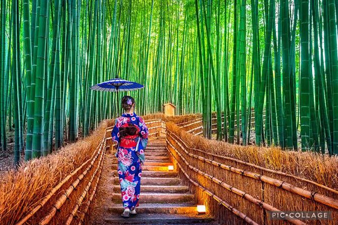 Private Tour Kyoto-Nara w/Hotel Pick Up & Drop off from Kyoto - Todai-ji and the Great Buddha in Nara