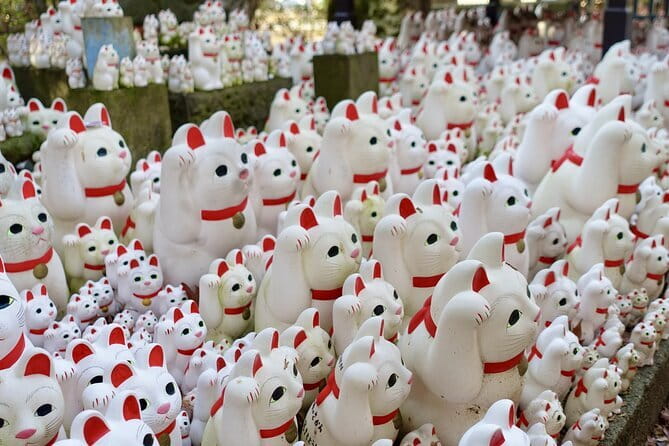 Private Tour - Thousands of lucky cats! Go by tram, Gotokuji Tour - Key points to know before booking