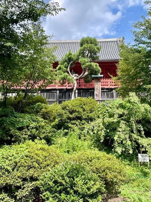 Private Tour Through the Tokyo National Museum & Ukiyo-e - Ukiyo-e, samurai armor, and choosing your focus