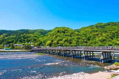 Private Tour to Monkey Park and Arashiyama Highlights