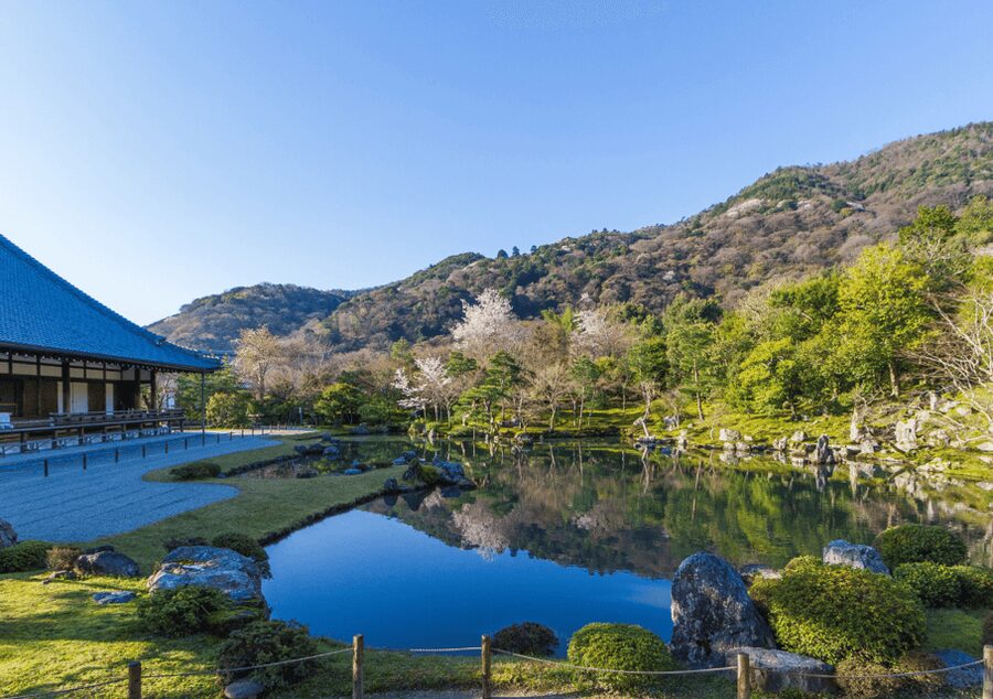Private Tour to Monkey Park and Arashiyama Highlights - What Your Guide Adds to the Day