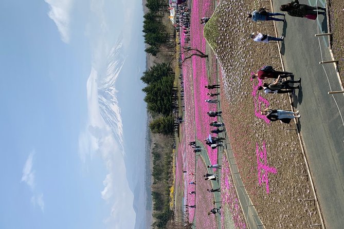 Private Tour to Mt. Fuji and Hakone (Fully Licenced Operator) - Lake Kawaguchi and the Kachi Kachi Ropeway