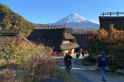 Private Tour to Mt. Fuji and Hakone (Fully Licenced Operator)