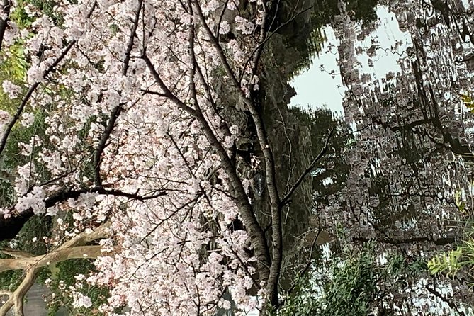 Private Tour to Mt. Fuji and Hakone (Fully Licenced Operator) - Shrines with a stronger sense of place