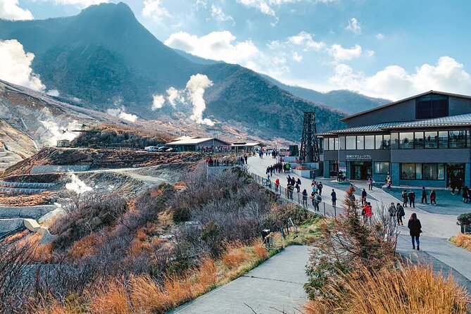 Private Tour to Mt Fuji and Hakone with English Speaking Driver - Oshino Hakkai and the quieter side of Fuji
