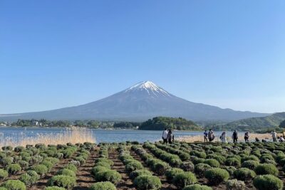 Private Tour to Mt Fuji and Hakone with English Speaking Driver
