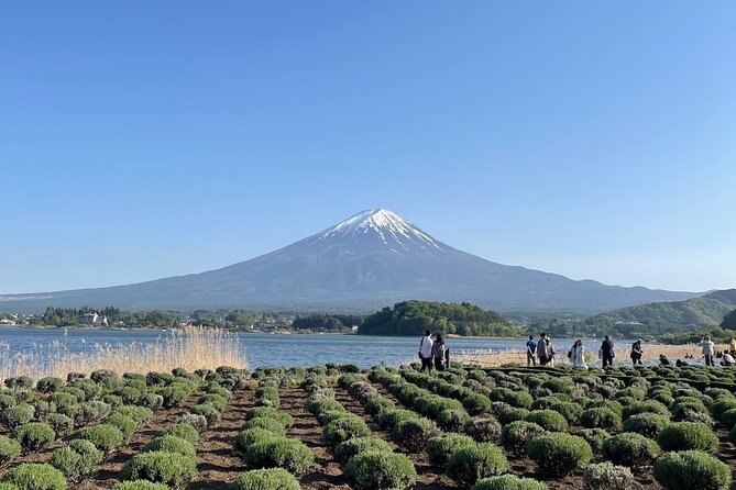 Private Tour to Mt Fuji and Hakone with English Speaking Driver - Ōwakudani, where Hakone still steams