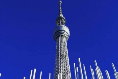 Private tour Tokyo – The Harmony of Modernity and Tradition