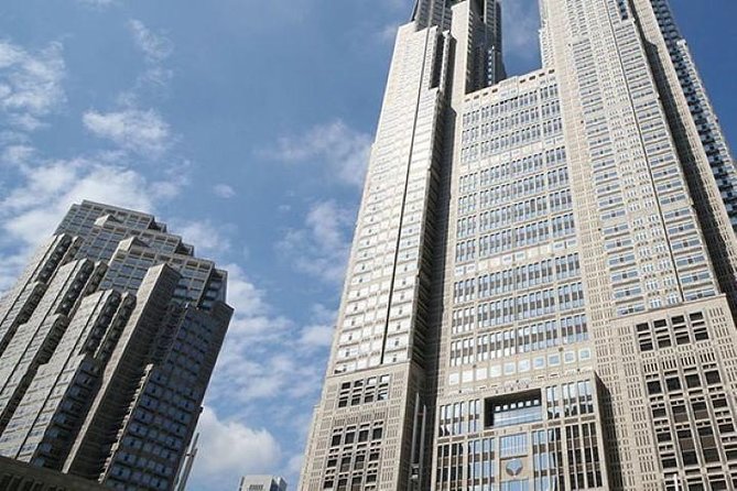 Private tour Tokyo - The Harmony of Modernity and Tradition - Why the subway guidance may be worth the price