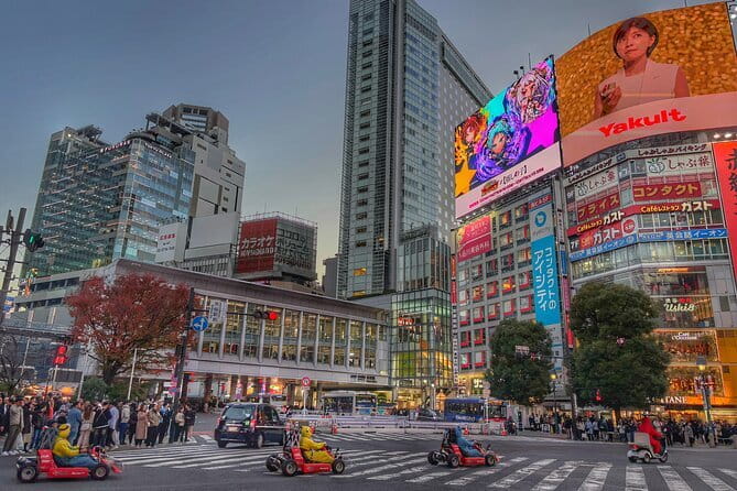 Private Tour with a Local Guide - Learn about daily life in Japan - Key points to know before you book