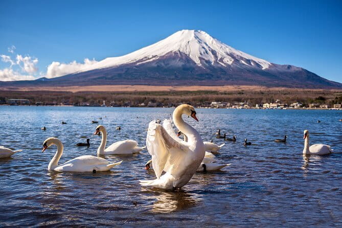 Private Tour with a Local Guide - Learn about daily life in Japan - Jero’s role in making the walk personal