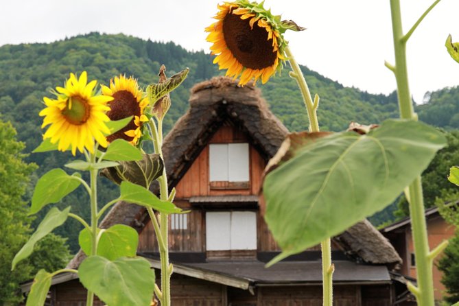 Private transfer Kanazawa to Takayama Including Shirakawago - Key points at a glance