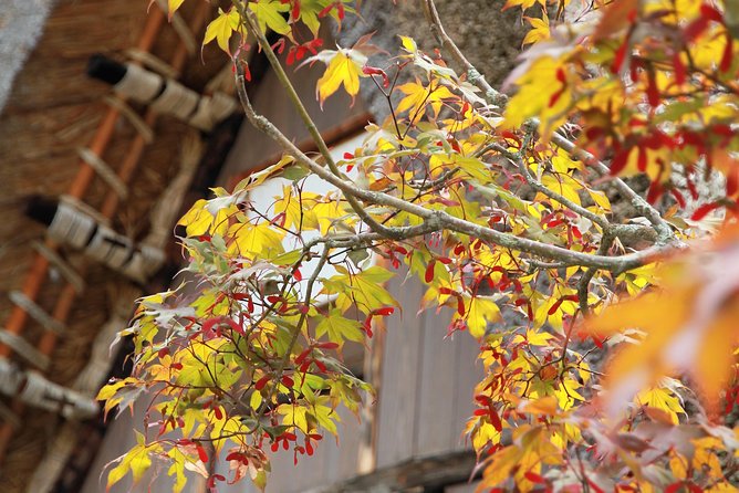Private transfer Kanazawa to Takayama Including Shirakawago - What the driver adds to the day