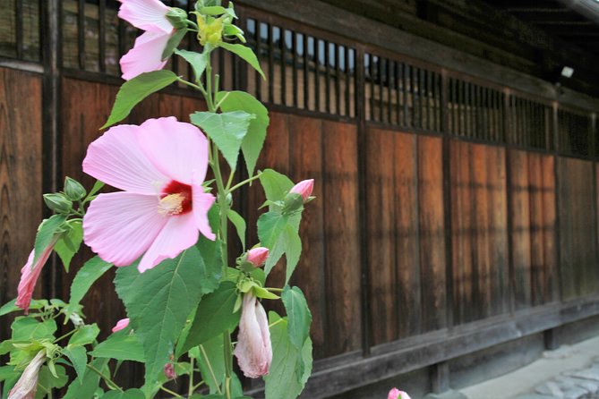 Private transfer Kanazawa to Takayama Including Shirakawago - Who will get the most from this transfer