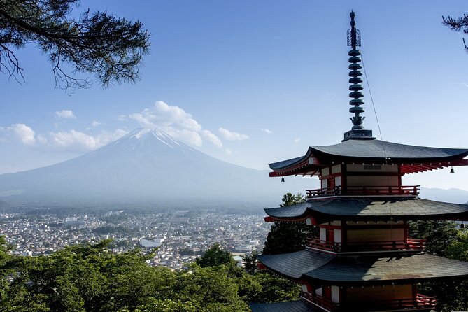 Private Unforgettable Mt Fuji Tour with English Speaking Driver - Gotemba Premium Outlets and the long ride home
