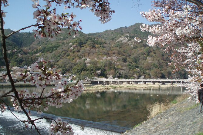 Private Walking Tour in Bamboo Forest & Hidden Spots in Arashiyama - Why Sagano is worth more than a bamboo photograph