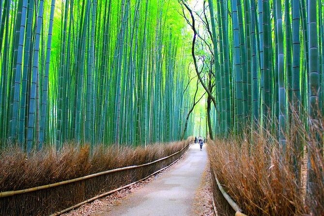 Private Walking Tour in Bamboo Forest & Hidden Spots in Arashiyama - The bamboo forest, beautiful but rarely silent