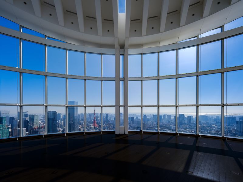Roppongi Hills Tokyo City View Observatory Deck Ticket - Tokyo comes into focus from Mori Tower