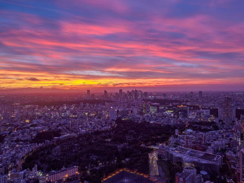 Roppongi Hills Tokyo City View Observatory Deck Ticket - What the ticket price buys you