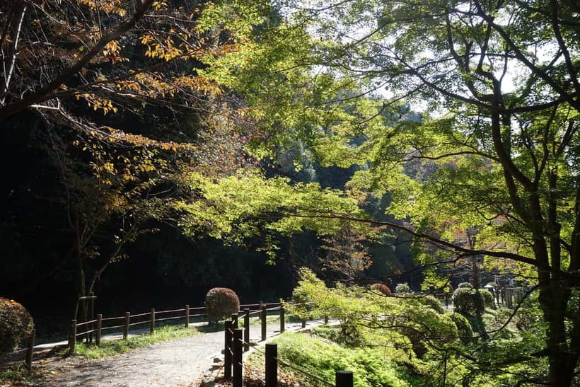 Sacred Pathways: Discover the Philosopher's Path of Kyoto - Should you book Sacred Pathways?