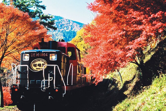 Sagano Romantic Train & Arashiyama, Kiyomizudera, Fushimi Inari Taisha Day Tour - Why this tour works from Osaka
